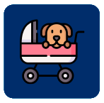 Transporting Pets and Animals by Aircraft